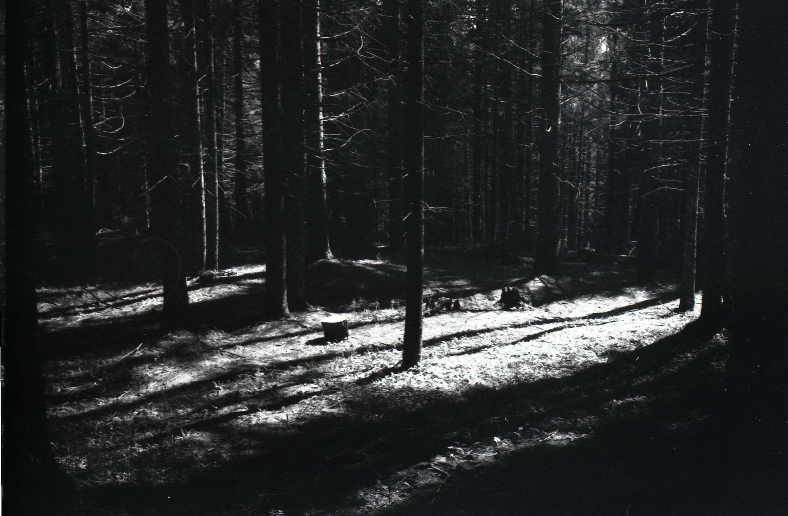 L’intenzione fa la buona foto